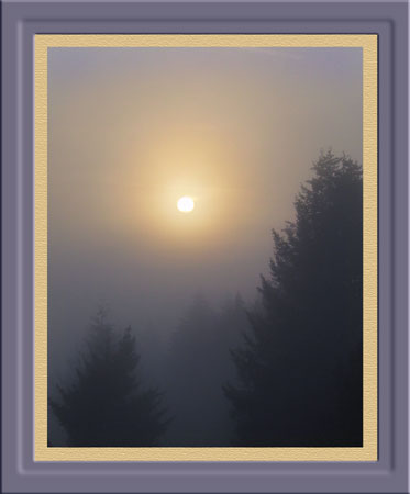 [misty-sunrise.jpg]