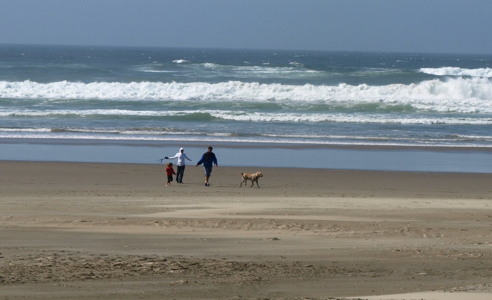 [Pacific+Beach+Family+&+Dog.jpg]