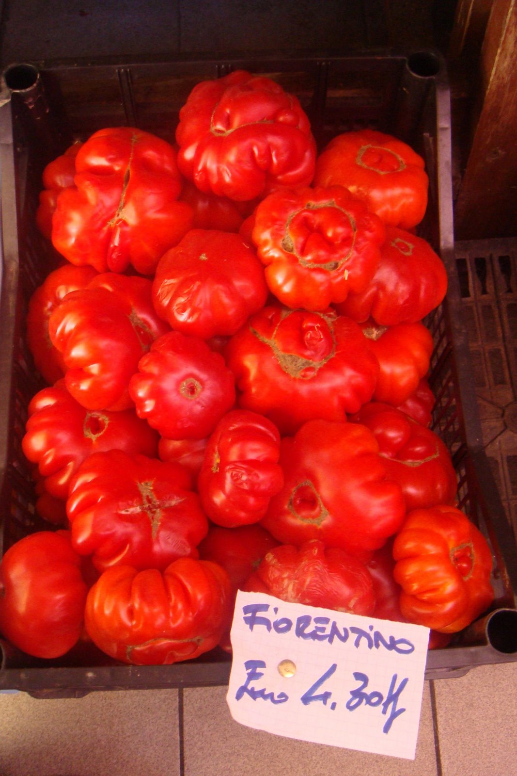 [16+-+Tomate+fiorentino.jpg]