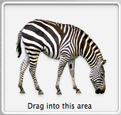 [Zebra+Scanner+pic.png]