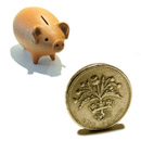 [piggy_bank_pound_coin.jpg]