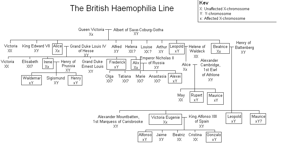 [Haemophilia_family_tree.GIF.gif]