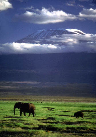 [Kilimanjaro1.jpg]