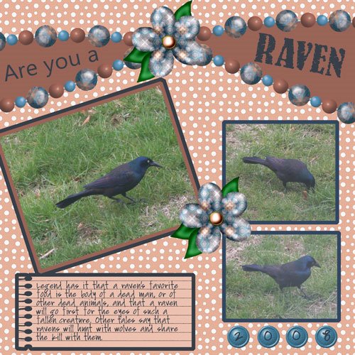 [2008-04-10-Bird-Raven.jpg]