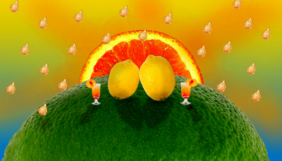 [citrus.jpg]