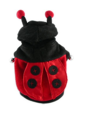 [LadyBug Costume.jpg]