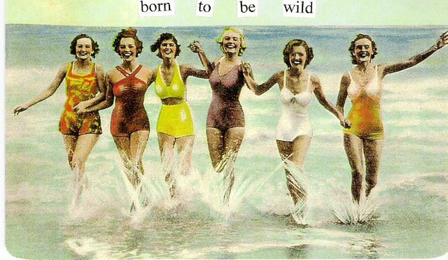 [born+to+be+wild.jpg]