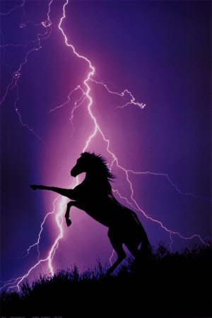 [2400-1227~Lightning-and-Silhouette-of-Horse-Posters.jpg]