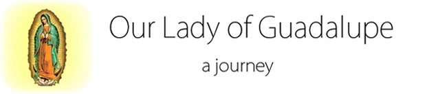 Our Lady of Guadalupe: A journey