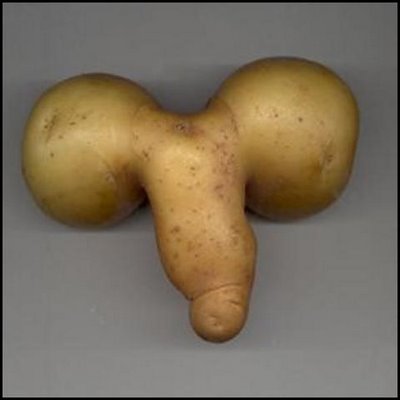 [potato-cock5.jpg]