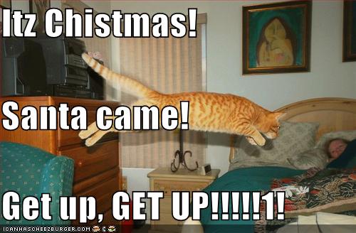 [funny-pictures-christmas-cat-wakeup.jpg]