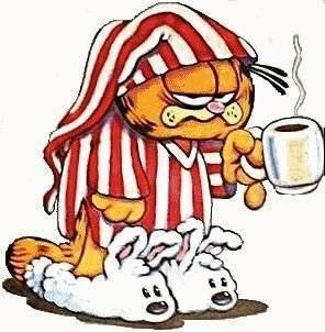 [Garfield+in+the+morning.jpg]
