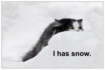 [I+has+snow.jpg]