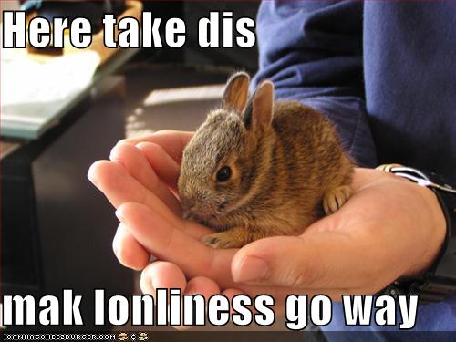 [Bunny+make+loneliness+go+away.jpg]