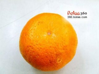 [Orange+1.jpg]