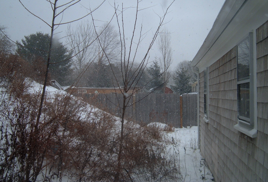 [Snowy+Back+Yard.jpg]