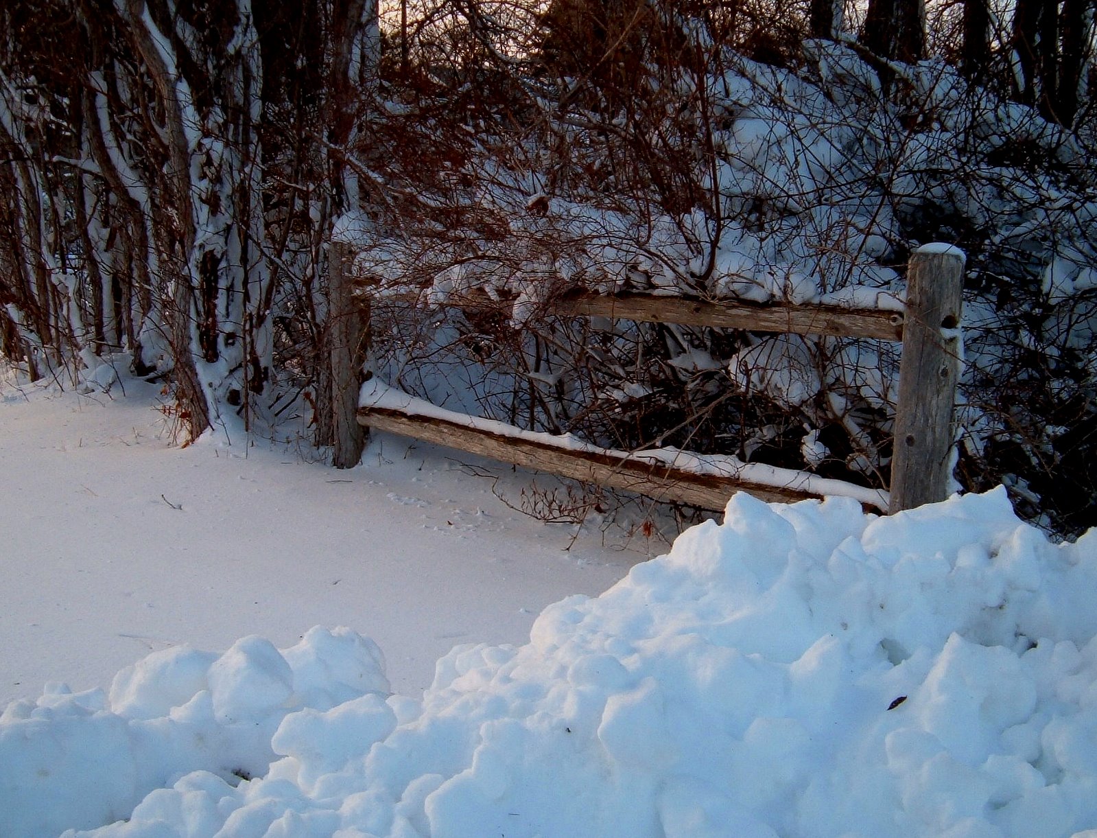 [Snow+Fence.jpg]
