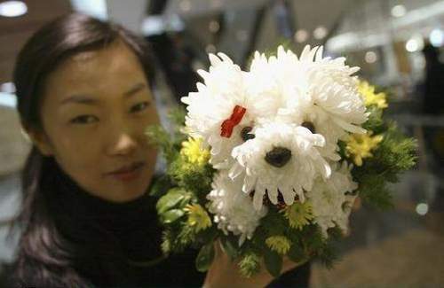 [flower+artist+with+puppy+flowers.jpg]