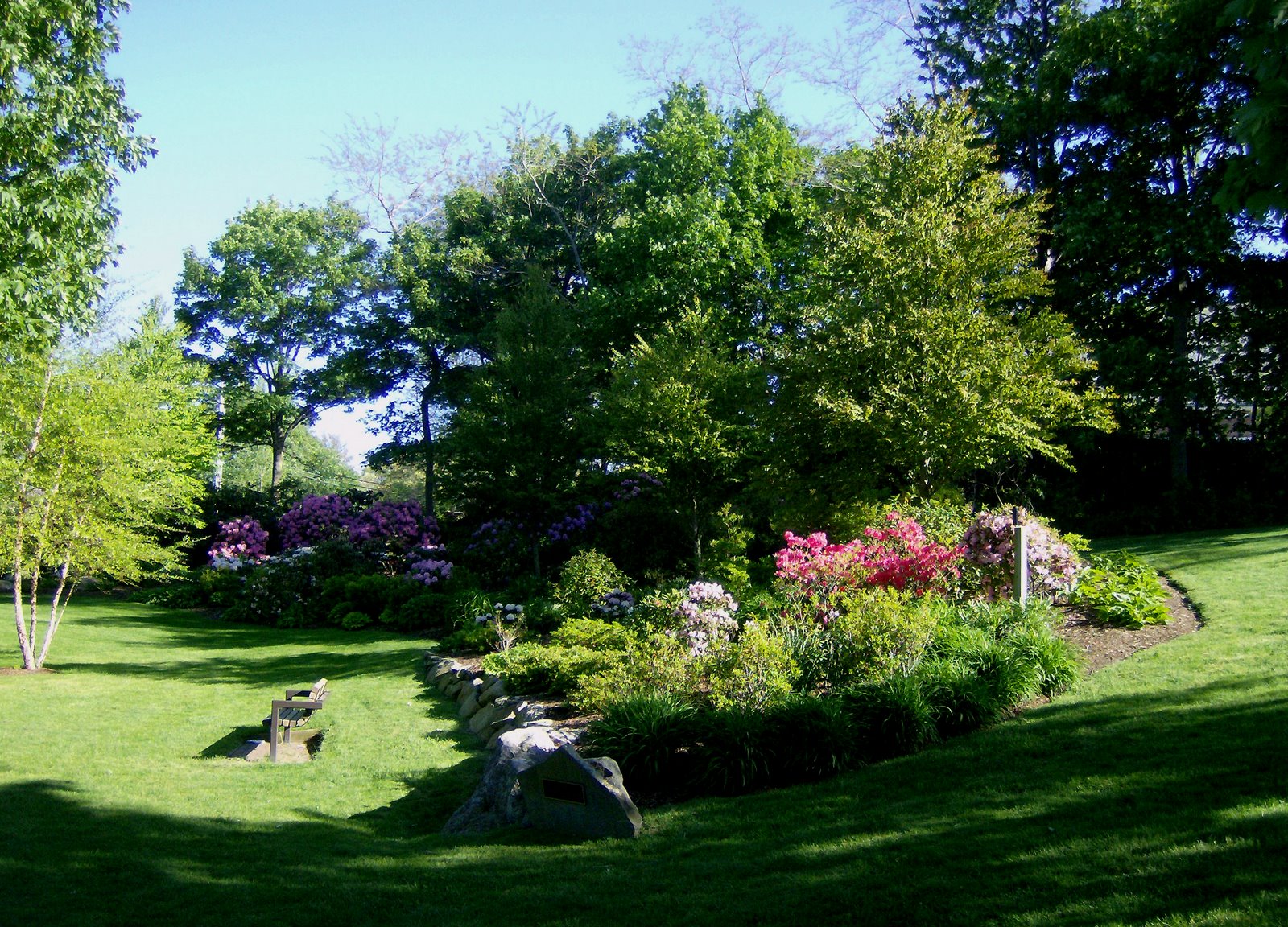 [ARC+Rhododendron+Display+Garden.jpg]