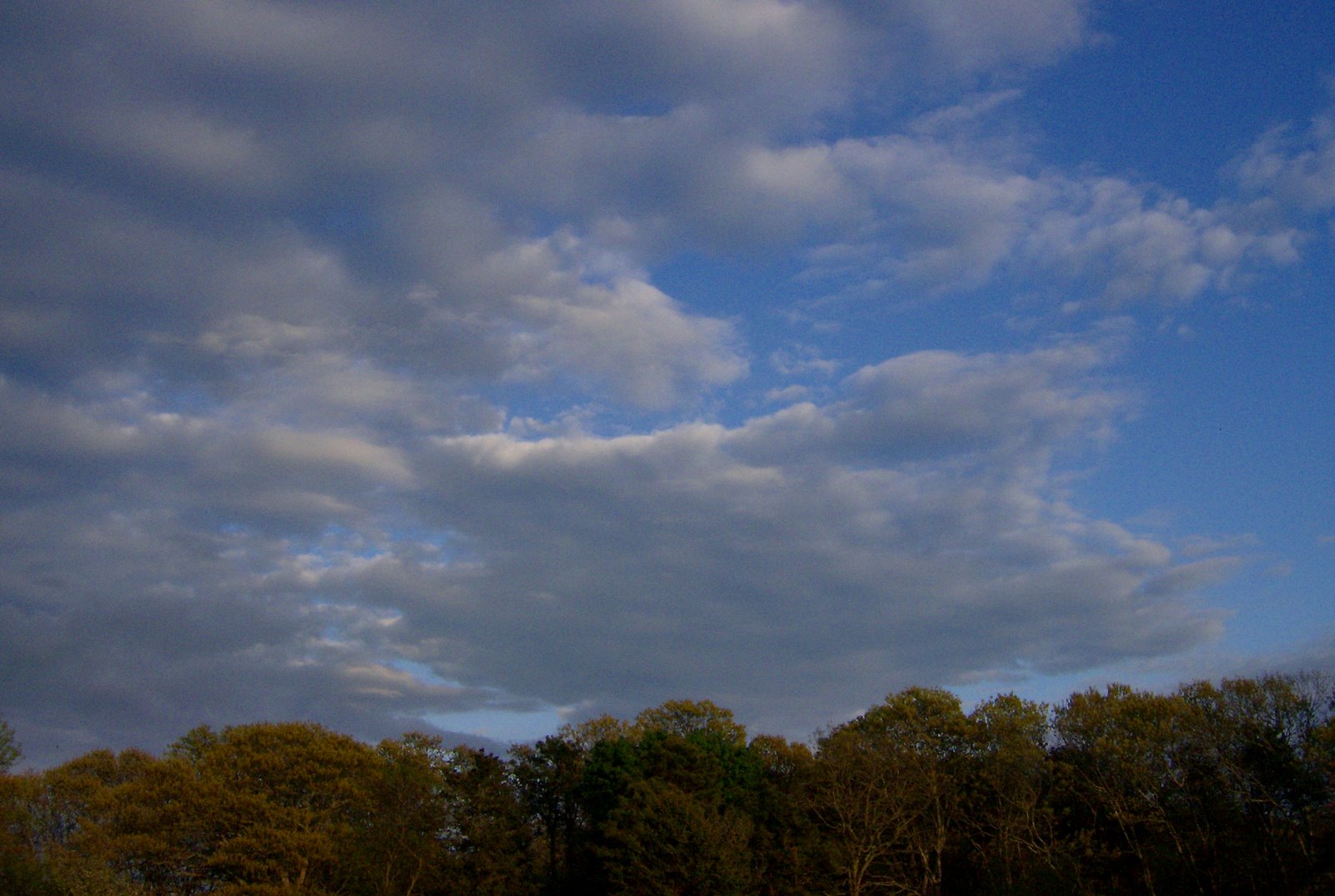 [Clouds+in+Evening.jpg]
