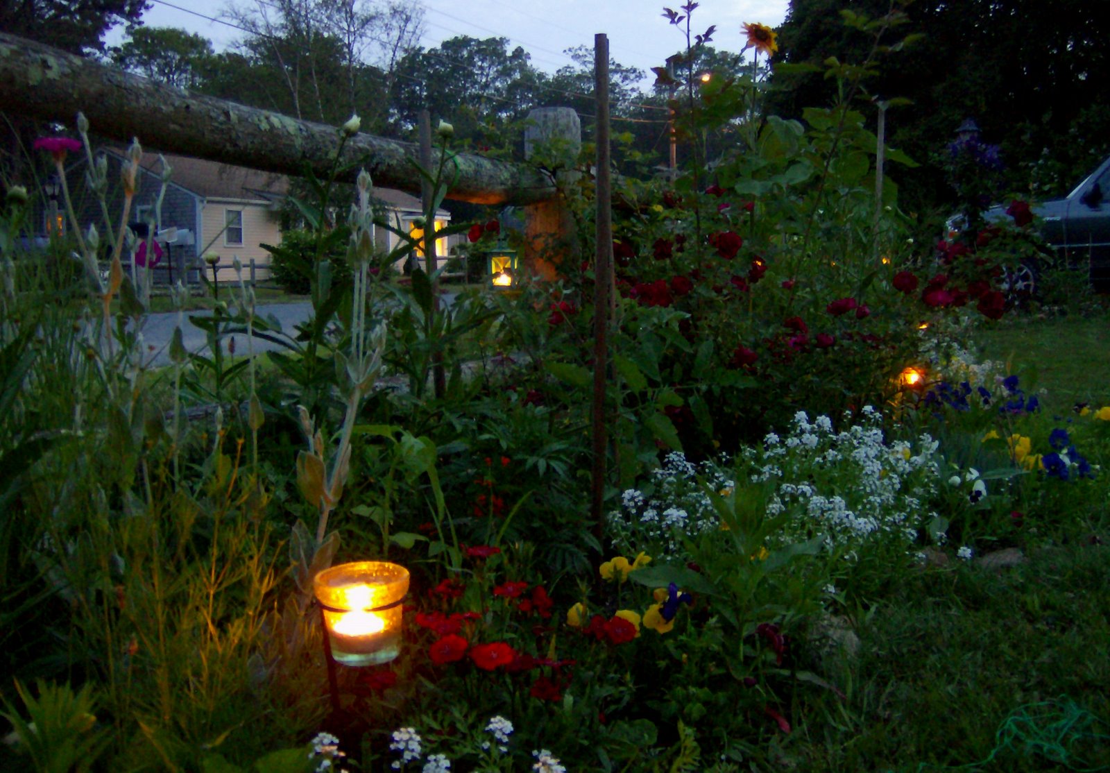 [Evening+Garden.jpg]