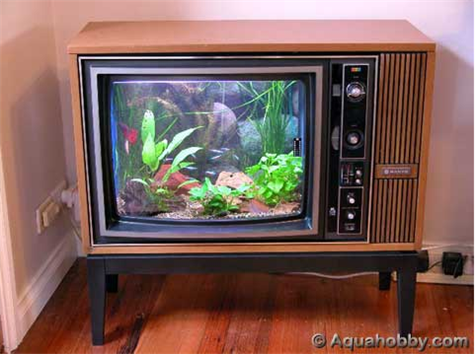[tv+fish+tank.jpg]