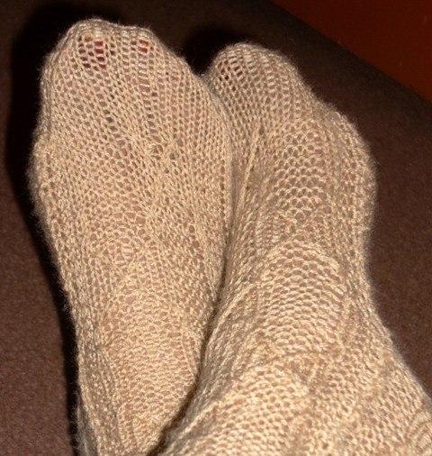 [cinderella+socks+(4).JPG]