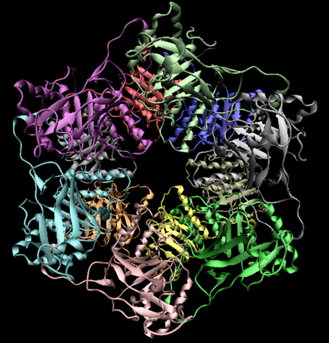 [Helicase__front_1g8y.png]
