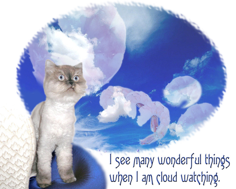 [Watching+Clouds.jpg]