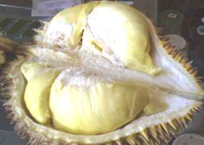 [durian3.jpg]