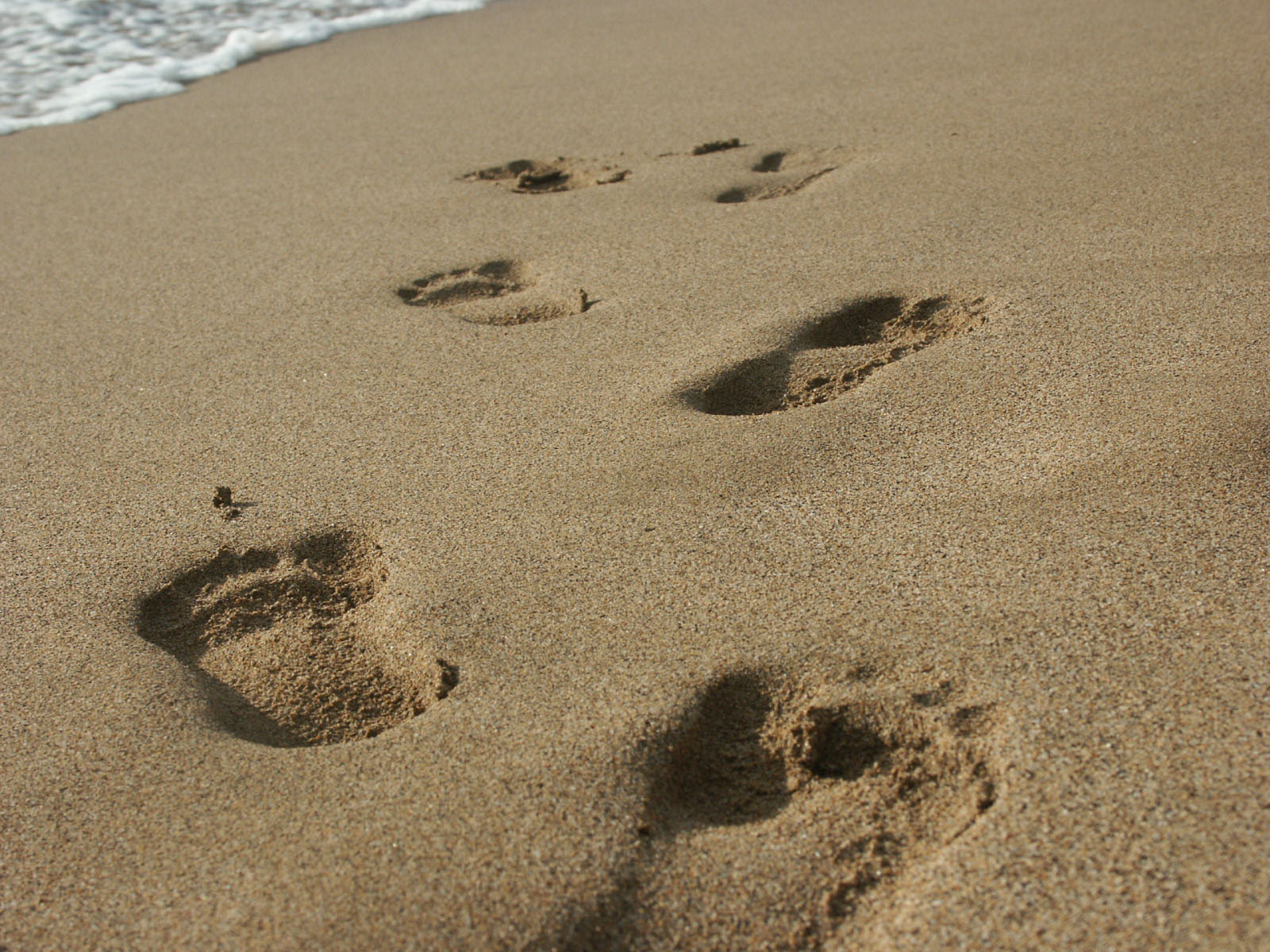 [lahaina_beach_walk_-_foot_steps_in_sand.jpg]