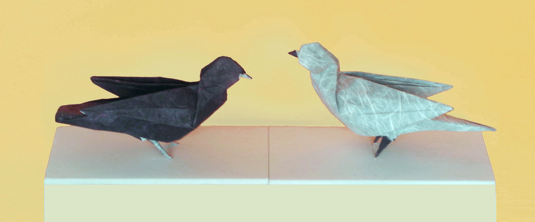 [Pigeons2.jpg]
