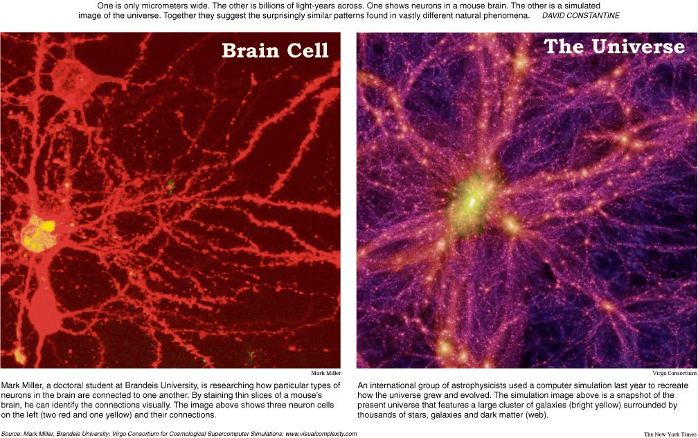 [neuron-universe.jpg]