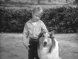 [untitled+timmy+lassie.bmp]
