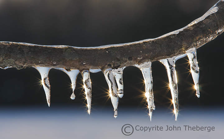 [Icicles+on+Branch.jpg]