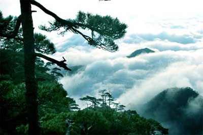 [Mount+Sanqingshan+National+Park3.jpg]