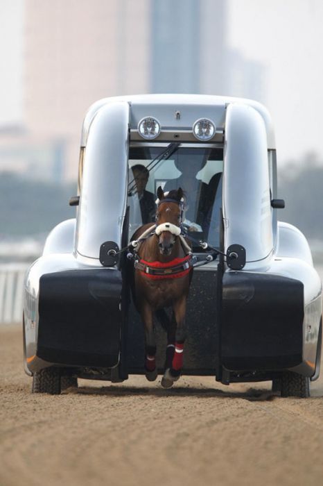 [Roush_race_horse_training_car1.jpg]