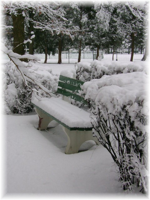 [Snow+February+25+2007+Ashlawn+Park+II.jpg]