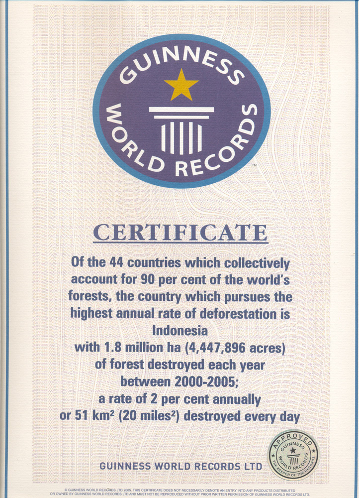 [Certificate-Guinness2008.jpg]