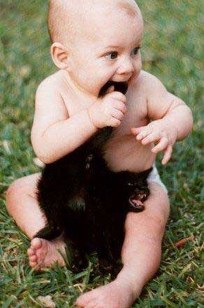 [baby-chewing-kitten-tail.jpg]
