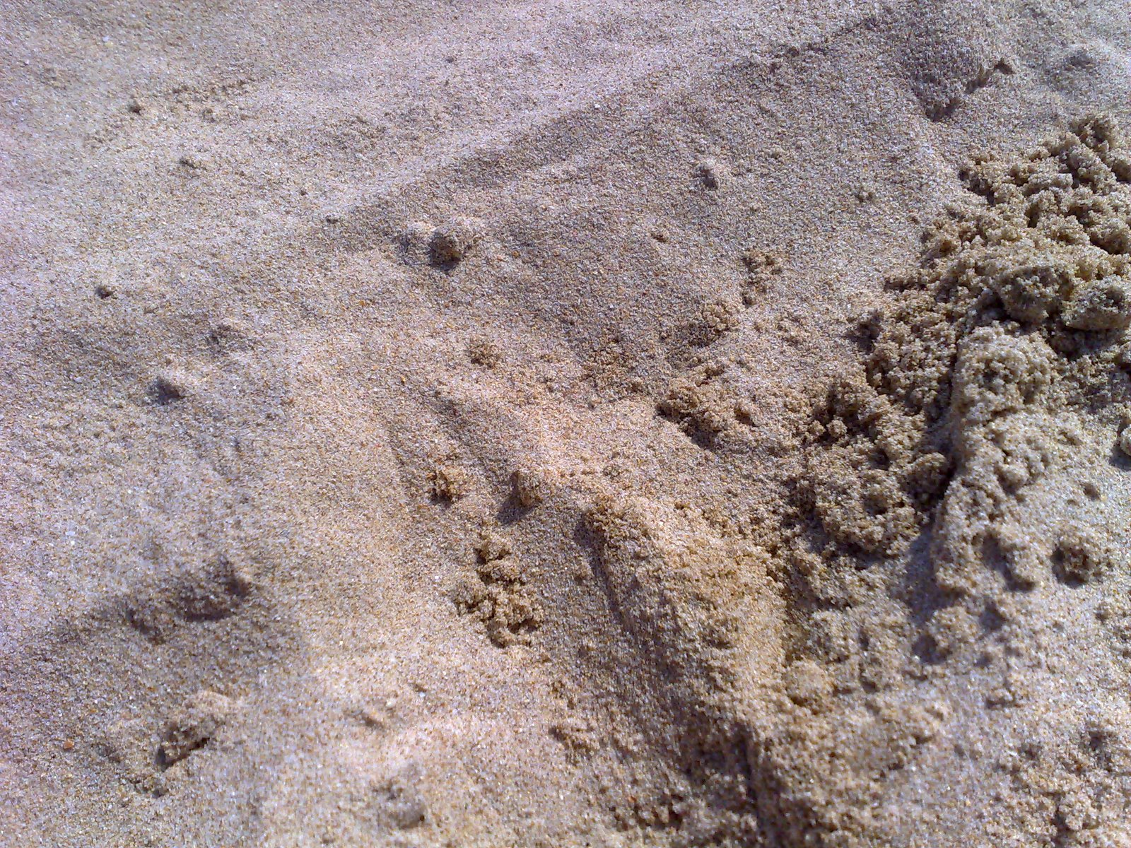 [Sand]
