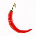 [chili+pepper.jpg]