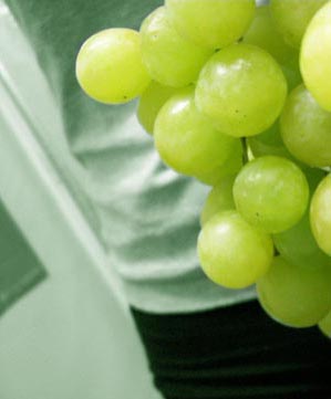 [cropped+grapes.jpg]