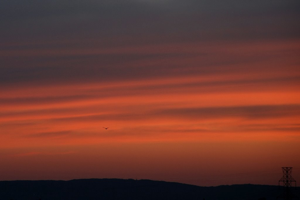[DSC_9051+-+Sunset.JPG]