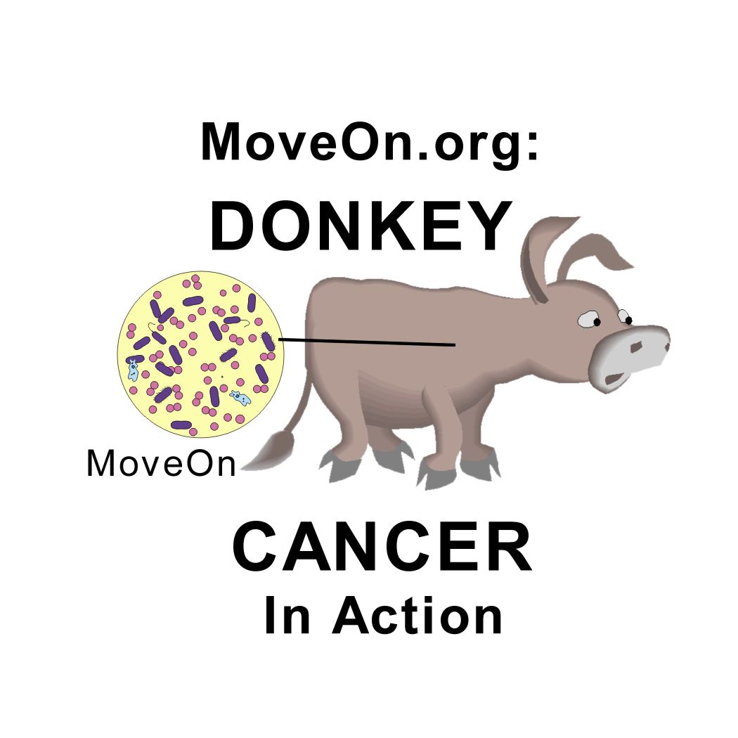 [donkey_cancer.jpg]