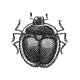 [insect02.gif]