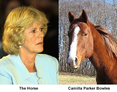 [Camilla+horse+1.bmp]