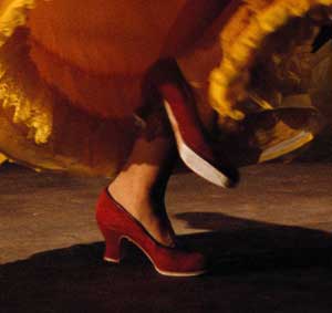 [zapatos+flamenco.jpg]