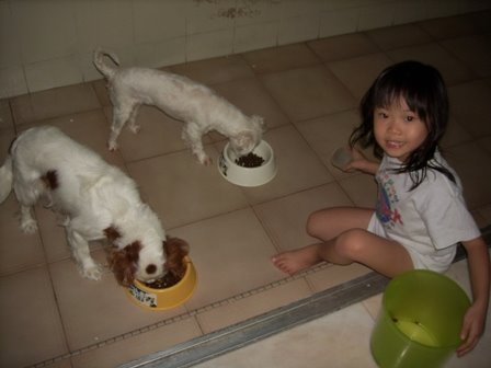 [dog+feeding.JPG]