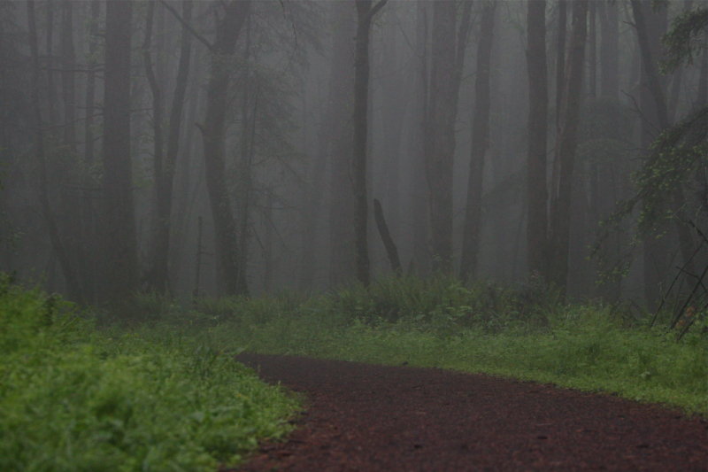 [Gloomy-trail.jpg]